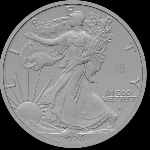 Team USA Coin logo