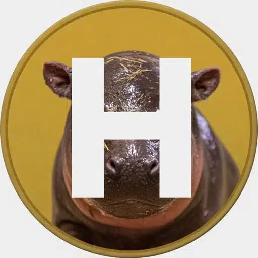 WHY DOES IMAGE HAVE A P logo