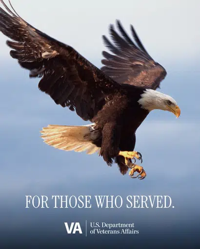 FOR THOSE WHO SERVEDthe eagle logo
