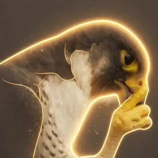 Shh logo