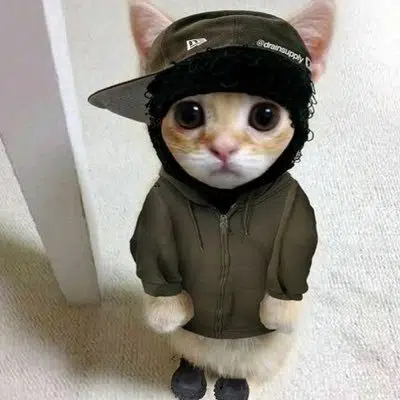 The bagworker