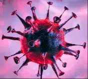 NOROVIRUS