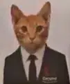 Miauricio