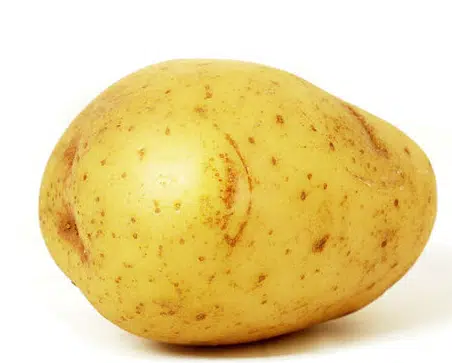 Potato
