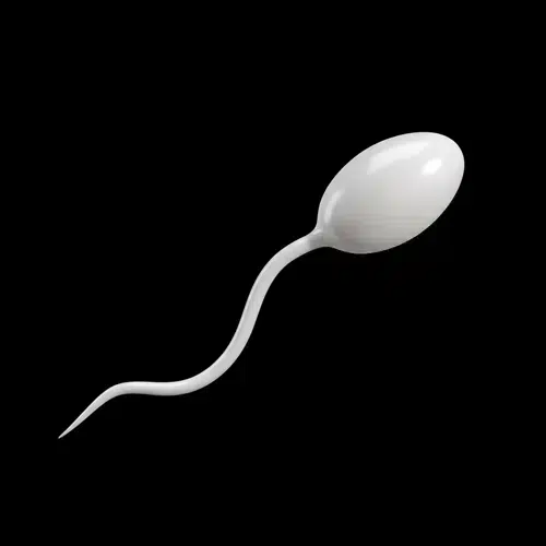 SPERM logo