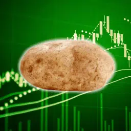 POTATO6900