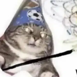 MIC
