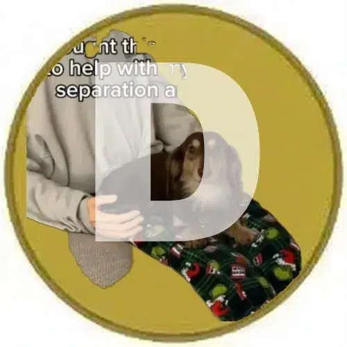 DINO