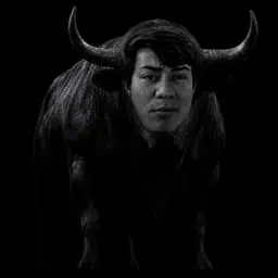 The Gambling Bull