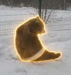 Bear In Floatie logo