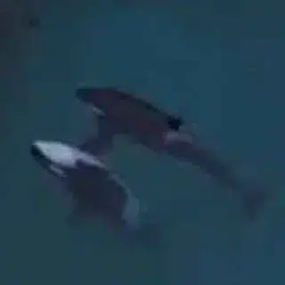 W&K