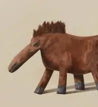 honse