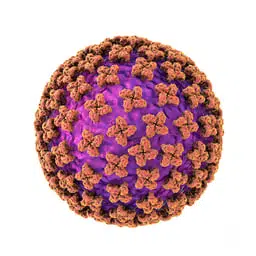 HANTAVIRUS token