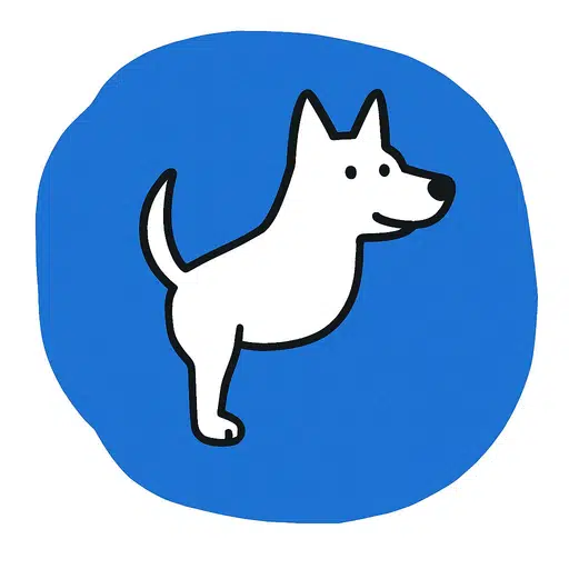 USDC