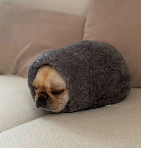 RUG