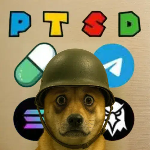 dogwifPTSD