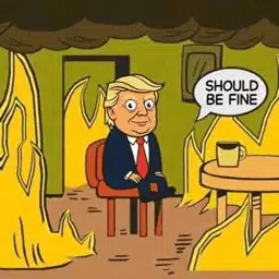 Fine