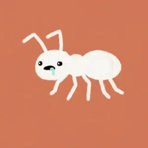 ANTTHROPIC