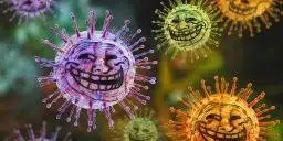 HANTAVIRUS