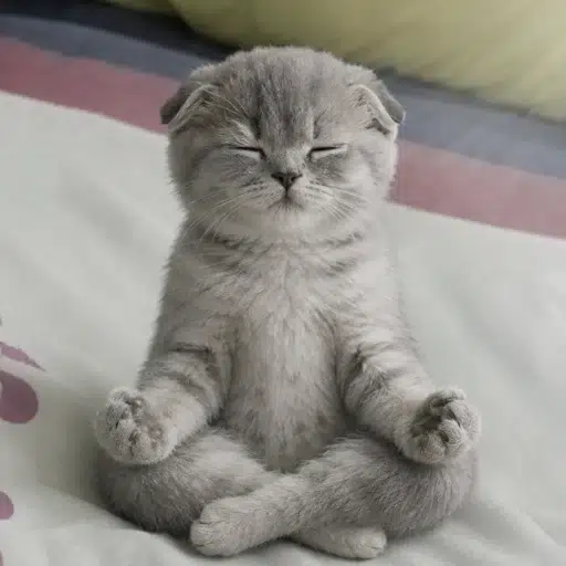 zen