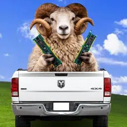 RAM900