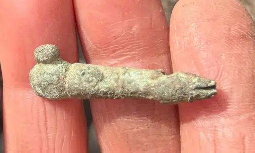 Micropenis