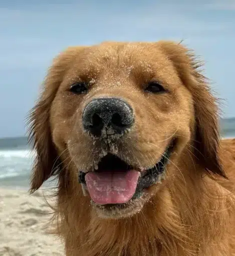 HUDSON