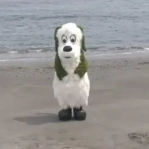ワンワン