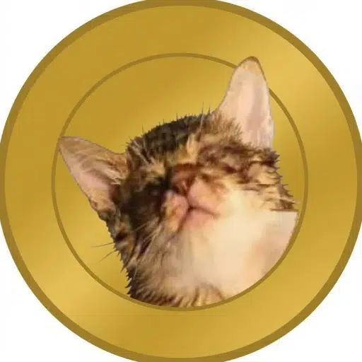 Koko-ChanCoin logo