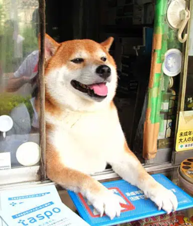 Suzuki the Cashier