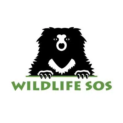 WILDLIFE