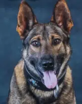 Leo