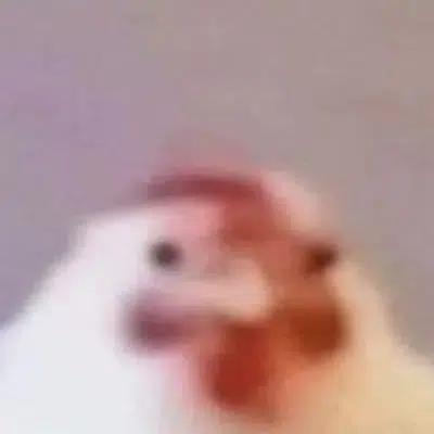 greg the low quality chicken