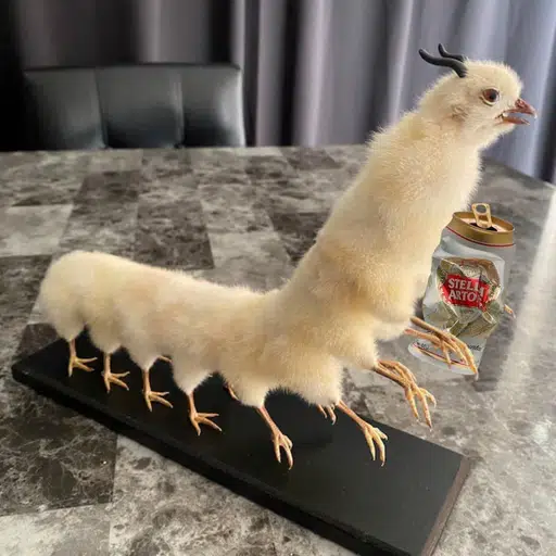 Drunk Chicken Centipede  logo