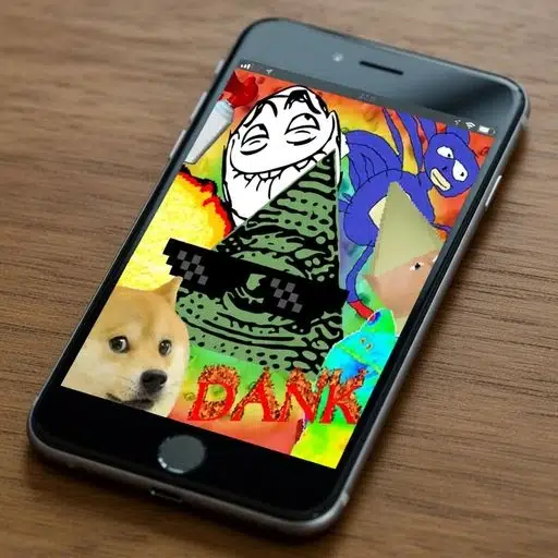 MEMES