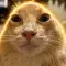 CHABU