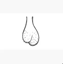 BALLSACK