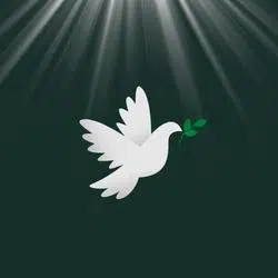 🕊️