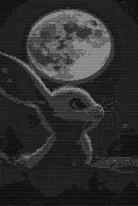 The rabbit who loved the moon