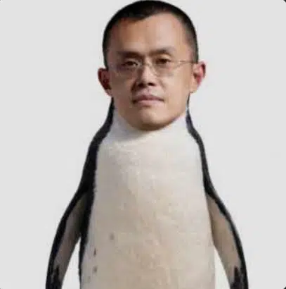 so slow bro wtf logo