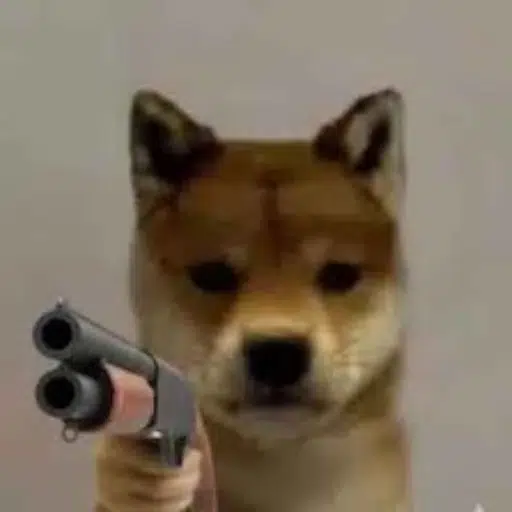 Dog Wif Shotgun