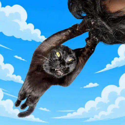 HodlCat logo