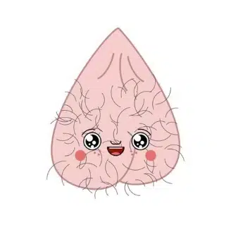 BALLSACK