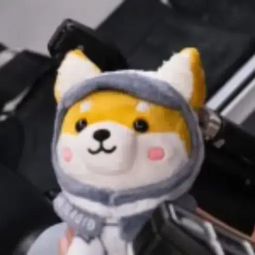 Shiba Inu Zero-G