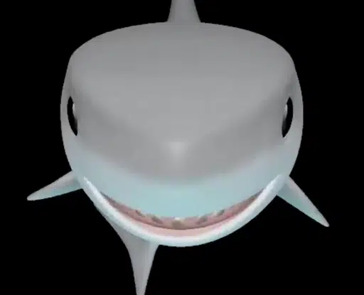 SHARK GUY