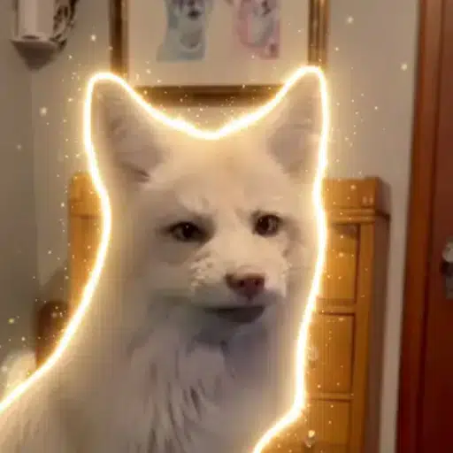 Nimbus