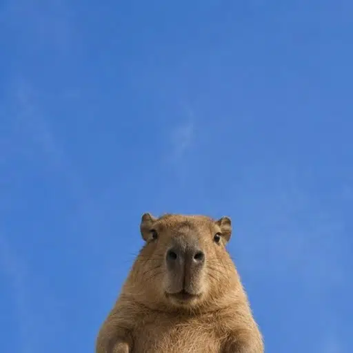 Robert