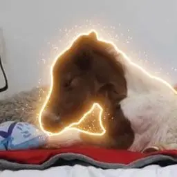 Mile The Pony