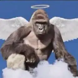 Harambe