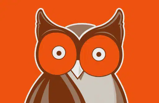 Hooter's CTO